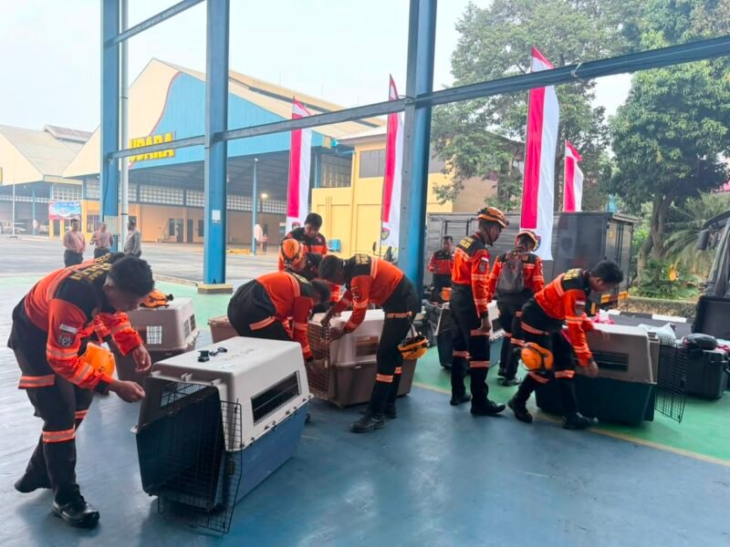 Terbang dengan Pesawat Khusus, Polri Kerahkan 10 K9 SAR Berpengalaman ke Flores, Misi Pencarian Korban