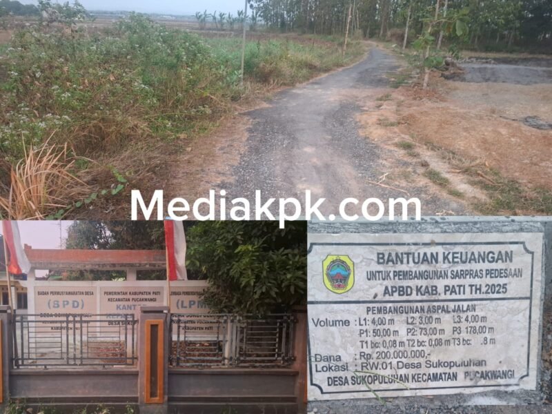 Aspal Jalan Sukopuluhan Pati Diduga Cepat Retak, Proyek APBD Rp200 Juta Disorot