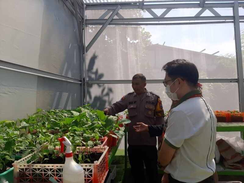 Keterangan Foto:
Personel Polres Pelabuhan Tanjung Perak bersama penyuluh pertanian dan Kelompok Tani Colombo Garden saat melakukan penanaman golden melon di Lapangan Colombo, Kelurahan Perak Barat, Kecamatan Krembangan, Surabaya, Selasa (8/9/2026).