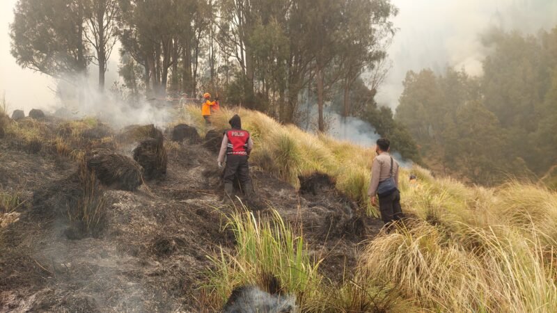 Personel Polres Probolinggo bersama tim gabungan melakukan upaya pemadaman kebakaran hutan dan lahan di kawasan Blok Pengol, TNBTS