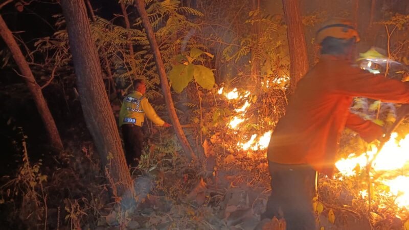 Polsek Bungkal dan Tim Gabungan Padamkan Karhutla di Kawasan Hutan Perhutani Ponorogo