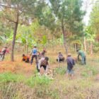 Polres Nganjuk dan Tim Gabungan Jinakkan Api, Karhutla di Gunung Wilis Padam
