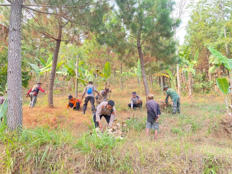 Polres Nganjuk dan Tim Gabungan Jinakkan Api, Karhutla di Gunung Wilis Padam