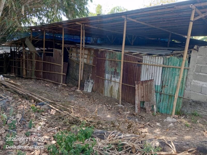 Kandang Broiler di Tengah Permukiman Kabuaran, Warga Keluhkan Dampak Lingkungan dan Pertanyakan Legalitas