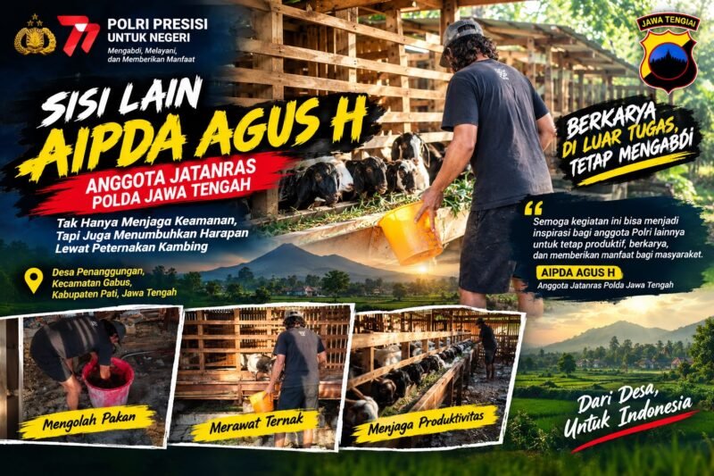 Aipda Agus H, anggota Jatanras Polda Jawa Tengah, saat menjalankan aktivitas peternakan kambing di Desa Penanggungan, Kecamatan Gabus, Kabupaten Pati, di sela kesibukannya bertugas.