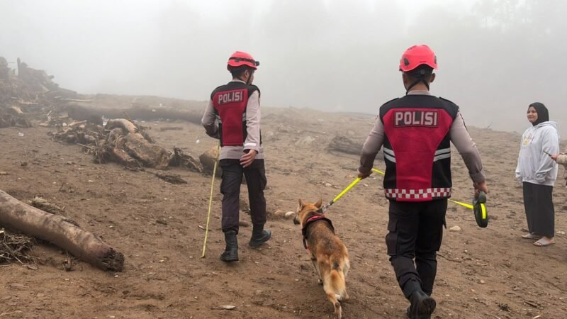 Tim Unit Polsatwa Ditsamapta Polda Sumbar mengerahkan dua anjing K9 spesifikasi SAR untuk menyisir jalur terdampak air bah di kawasan Solok.