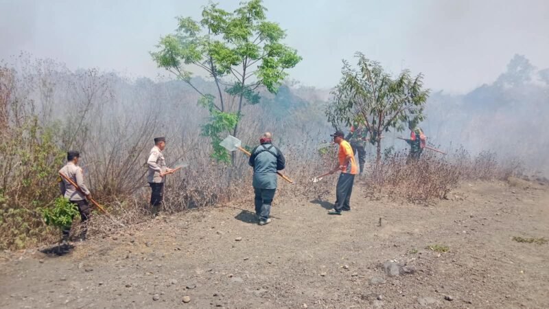 Tim gabungan Polres Bondowoso, Damkar, PTPN Blawan, Brimob Polda Jatim dan relawan berjibaku memadamkan karhutla di kawasan wisata Black Lava Ijen, Bondowoso.