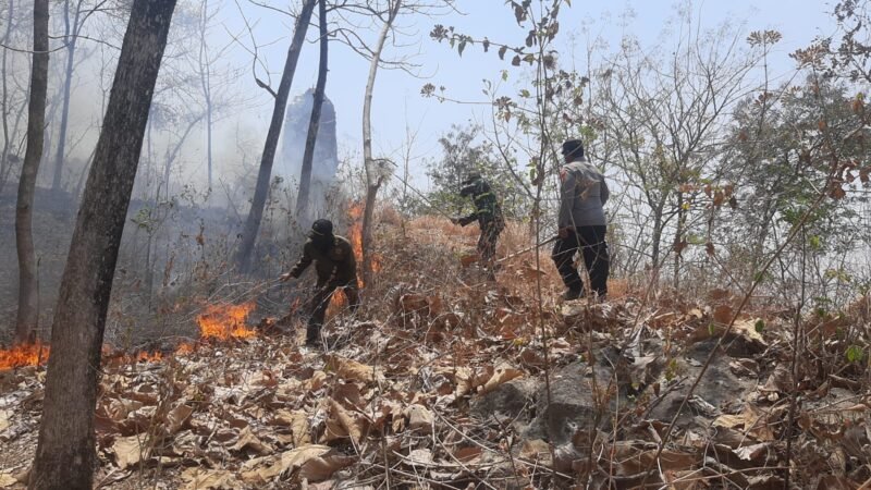 Personel Polsek Sampung bersama tim gabungan dan relawan melakukan pemadaman serta pendinginan di kawasan hutan Dukuh Sampung Kidul, Ponorogo.