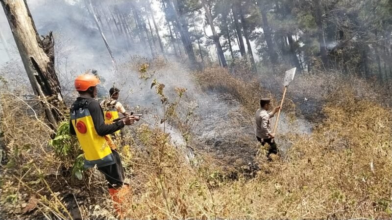Polres Ngawi Tim Gabungan Jinakan Api di Gunung Botak, Medan Berat Jadi Tantangan