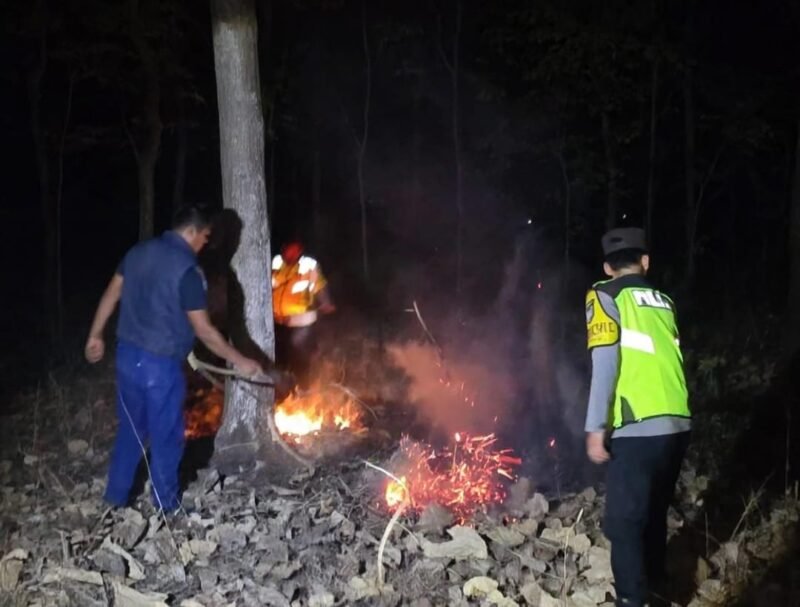 Personel Polsek Widodaren bersama petugas Perhutani memadamkan titik api karhutla di kawasan hutan wilayah Kecamatan Widodaren, Kabupaten Ngawi.