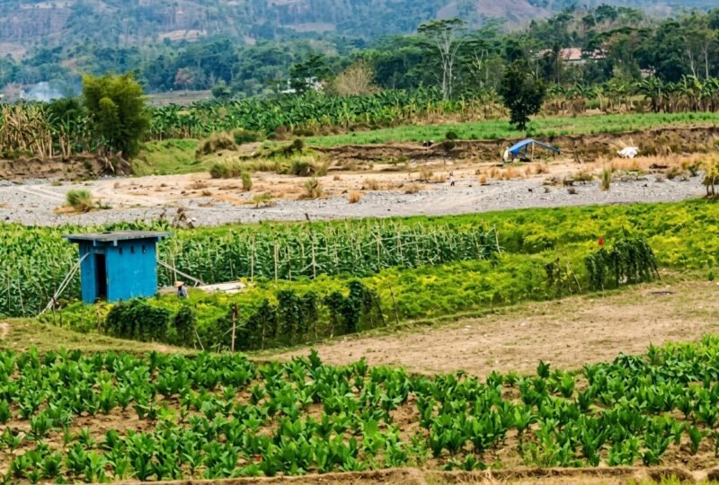 Aktivitas Tambang Pasir Mesin Diesel di Karanggayam Kembali Beroperasi, Warga Desak Penertiban dan Soroti Dugaan Pembiaran