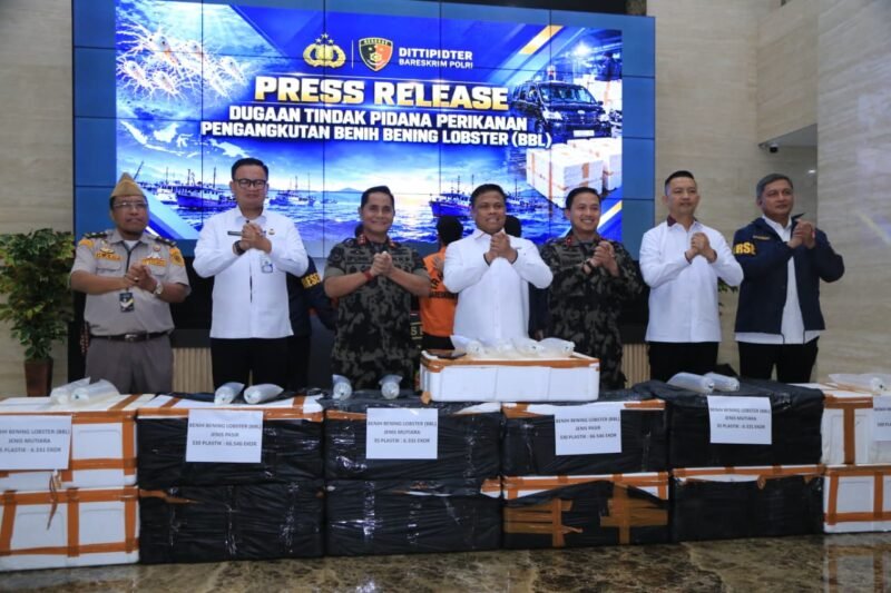 foto: Bareskrim Polri menunjukkan barang bukti 12 boks benih bening lobster yang diduga akan diselundupkan ke luar negeri dalam pengungkapan kasus di Depok, Jawa Barat, Senin (19/10/2026).