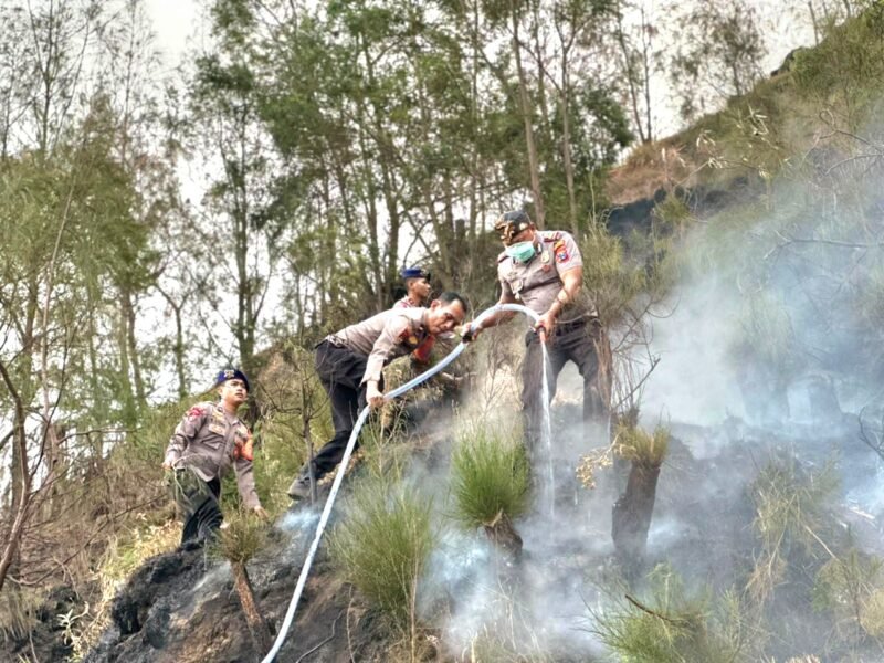 Personel BKO Polda Jatim Gerak Cepat Padamkan Titik Api, Cegah Karhutla TNBTS Meluas