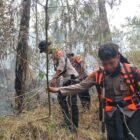Polda Jatim dan Tim Gabungan Tangani Karhutla Gunung Arjuno Sisir 4 Wilayah