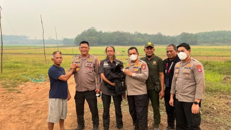 Anak beruang madu yang terdampak karhutla di Kabupaten Seruyan, Kalimantan Tengah, berhasil dievakuasi tim gabungan Baharkam Polri, Polda Kalteng, dan BKSDA untuk mendapatkan penanganan konservasi.